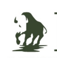 Bison Mechanical Systems