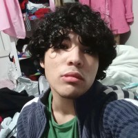 Luiz Endrick Saraiva Amorim