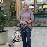 Lisa Johnson