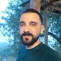 Hamed Naeemaei