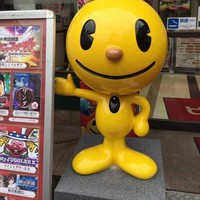 车亮亮