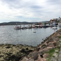 Caridad Vivero Ostos carivivero