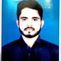 Md Afzal Hussain