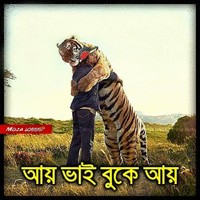 Al Hossain Islam Aziz