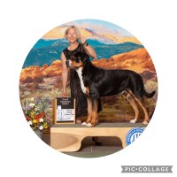 Tracy Maceachern