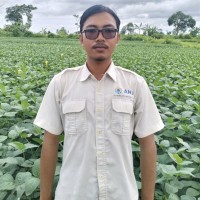 Muhammad Fais