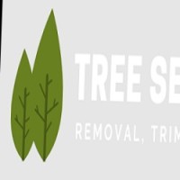 Tree Service Pros