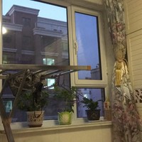 丁丰明