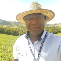 Paulo Nédes Souza Peres