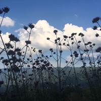 潘明飞