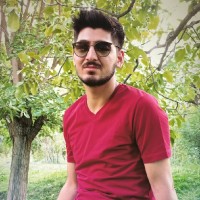 Amir Faisal