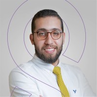 Mohamed Amr Arafa