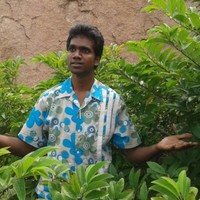 Saai Nellore