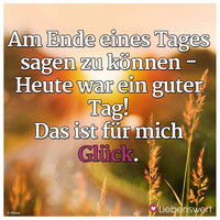 Armin Steinhauser