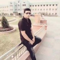Bulbul Ali