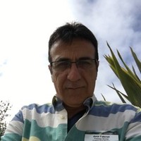 Amir fatanat