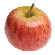 fresh fruit exporter