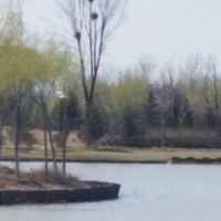王茂华