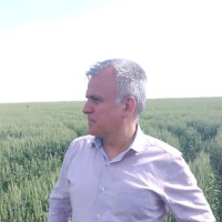 Mihai Stoicescu