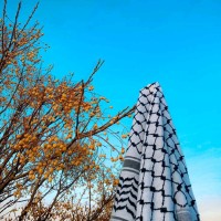 Tasneem Samy 🇵🇸