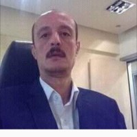 عصام حنفي