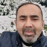 Ahmet Sari