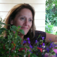 Sharon Knapp