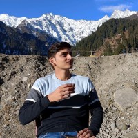 vimal ojha
