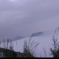 劉遠根