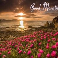 Arasu M