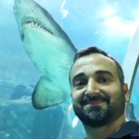 Bayram Akarsu