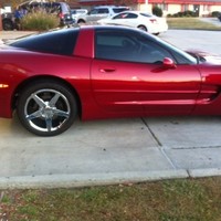 Express Tinting