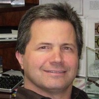 David DiRe