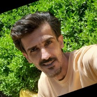 رضا جمشیدی