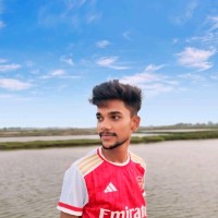 Sourav Ray