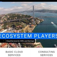 Ecosystem Players
