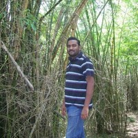 Raghu Raman