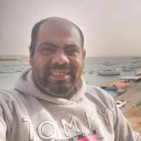 محمد محي الدين