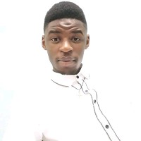 Ayanda Ndlovu