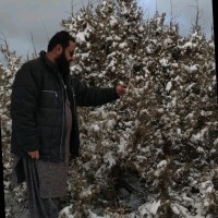 Kamran Khan Consultant