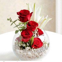 Md Jamil