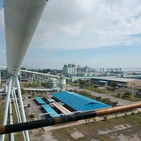Anggi Pasaribu