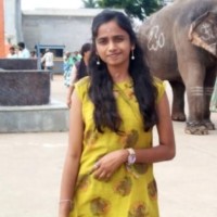 Lokesh Ml