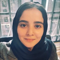 Fatemeh Fas'Hinezhad
