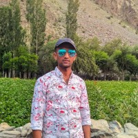 Kashif Ali