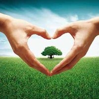 Social Media Alliance Peds