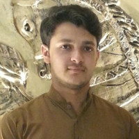 Hassan Bukhari