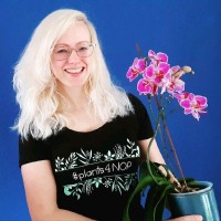 Claire Van Der Zwan