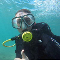 Tara P.