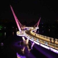 李春伟